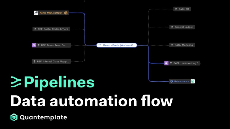 Thumbnail for the YouTube video &lsquo;See your data automation in real time with Quantemplate Flow&rsquo;
